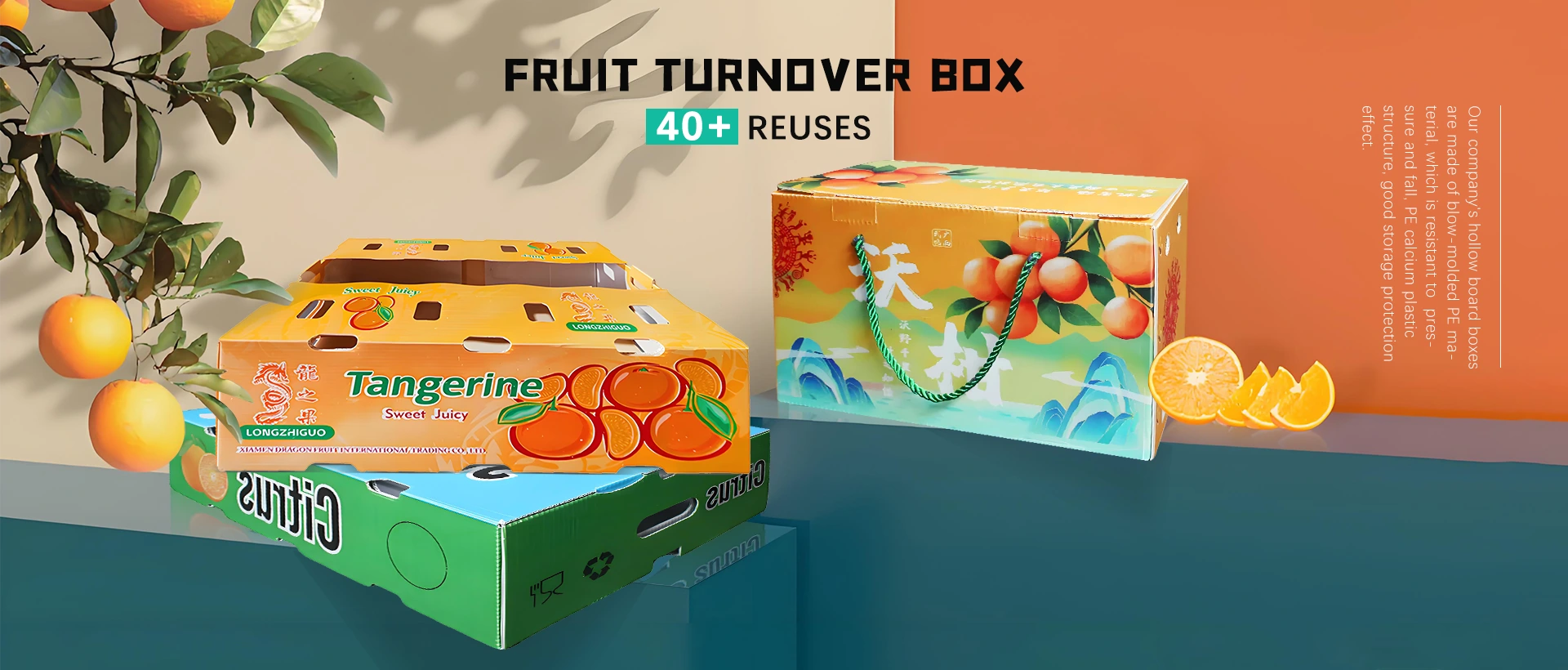 Fornitore di fatturato di frutta