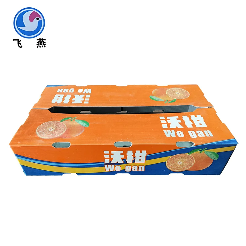 Fruit Calcium Plastic Turnover Box: un potente assistente per estendere la durata di conservazione